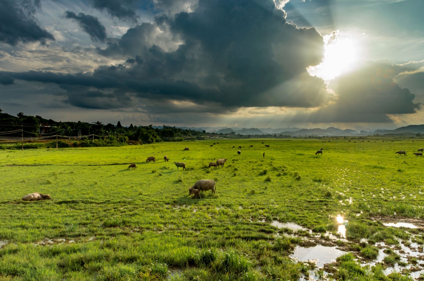 Phong Nha Farmstay  Phong Nha Travel