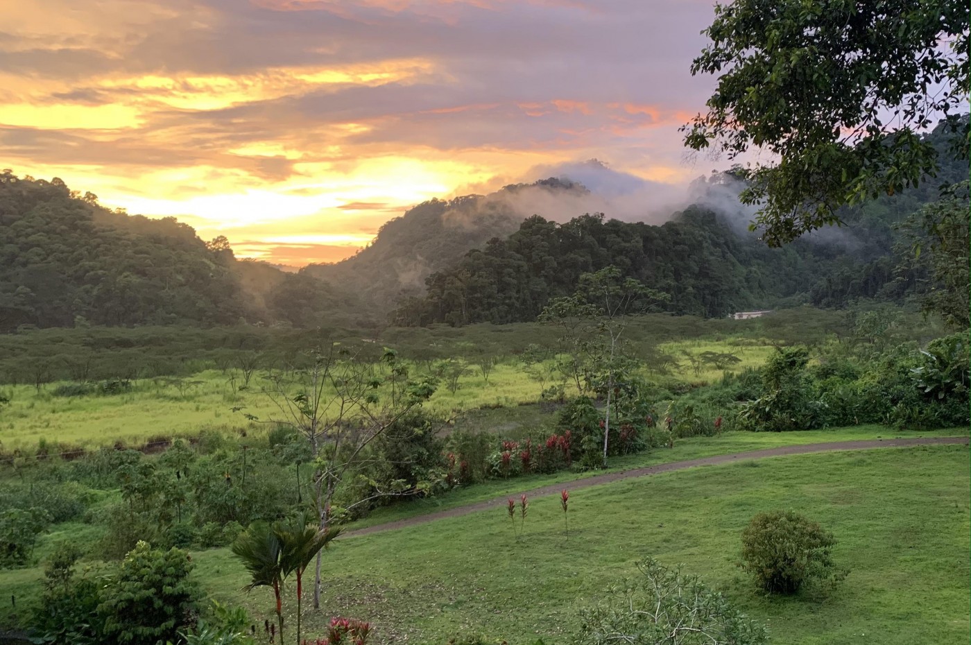 safari travel costa rica